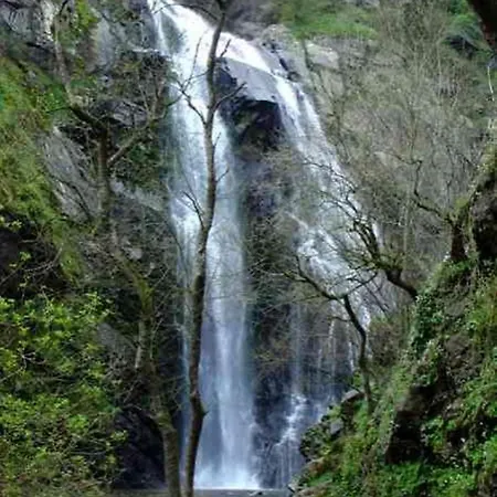 Ramos Silleda